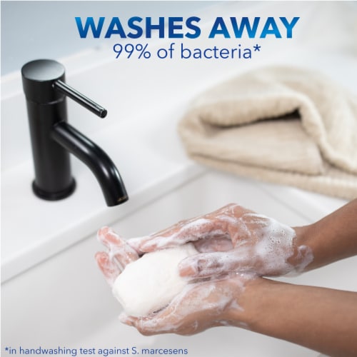 Safeguard Fresh Clean with Aloe Bar Soap Perspective: back