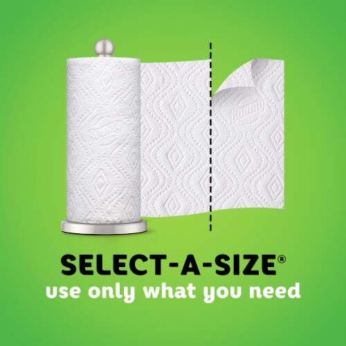 Bounty Select-A-Size Single Plus Roll Paper Towels Perspective: back