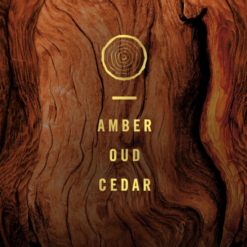Febreze Wood Odor-Eliminating Air Freshener Perspective: back