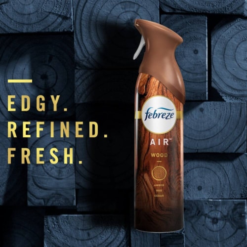 Febreze Ocean Scent Odor-Fighting Air Freshener Aerosol Can Twin Pack Perspective: back
