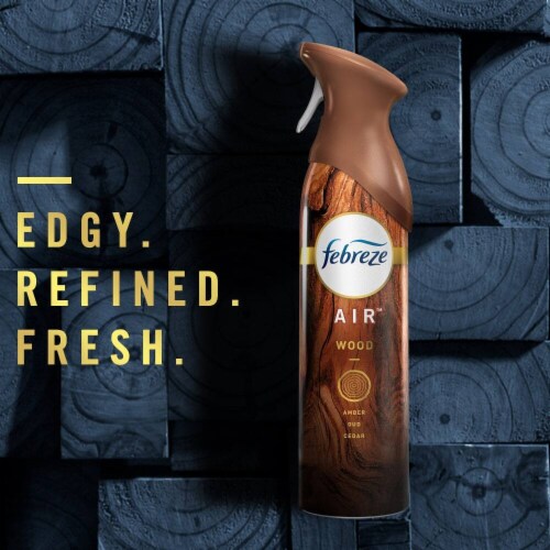 Febreze Odor-Fighting Air Freshener Ocean Perspective: back