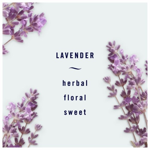 Febreze Light Lavender Odor-Eliminating Air Freshener Perspective: back