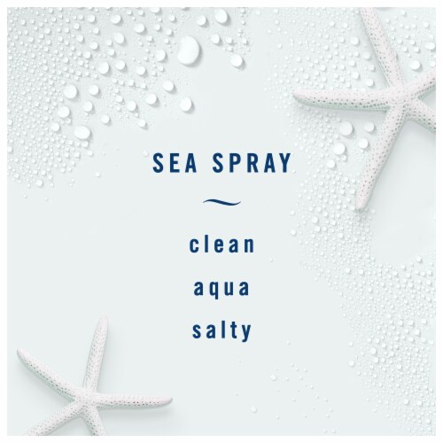 Febreze Light Sea Spray Odor-Eliminating Air Freshener Perspective: back