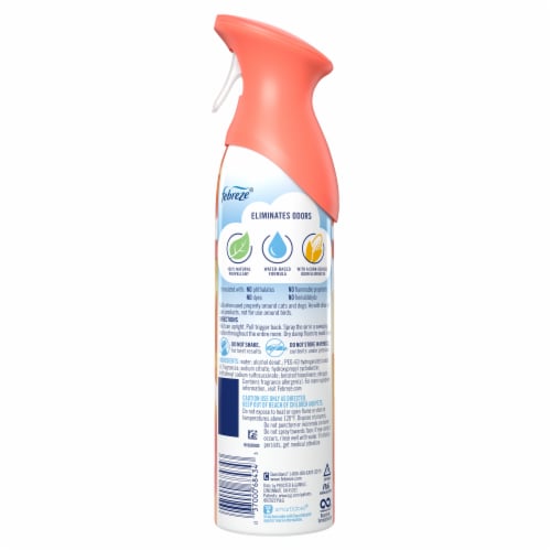 Febreze Air Effects Peach Scent Odor-Fighting Air Freshener Perspective: back