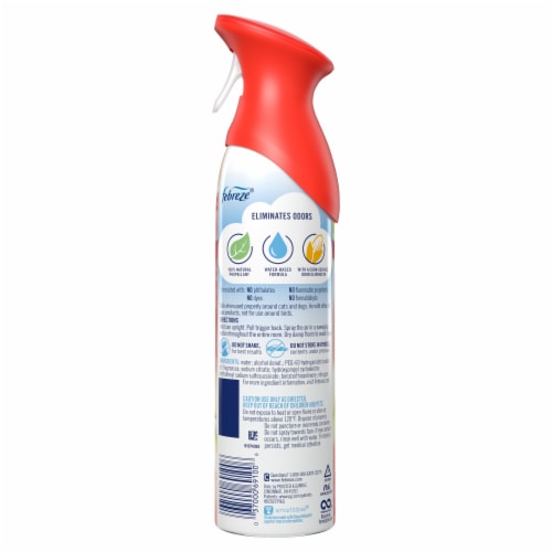 Febreze AIR™ Limited Edition Watermelon Scented Odor Eliminator Spray Perspective: back