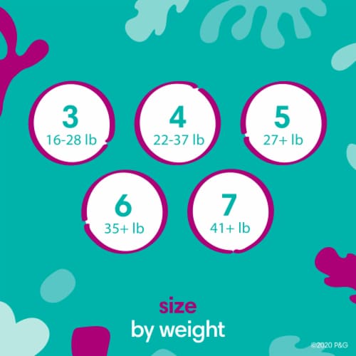 Pampers Cruisers Size 3 Diapers Perspective: back