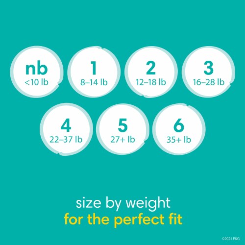 Pampers Baby Dry Baby Diapers Size 5 (27+ lbs) Perspective: back