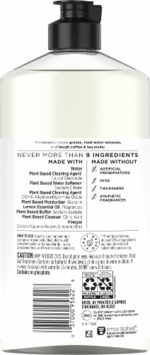 9 Elements Lemon Liquid Dish Soap Perspective: back