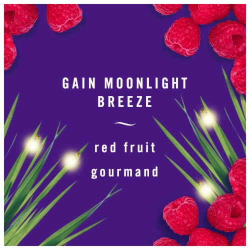 Febreze Moonlight Breeze Scent Odor-Eliminating Air Freshener with Gain Perspective: back