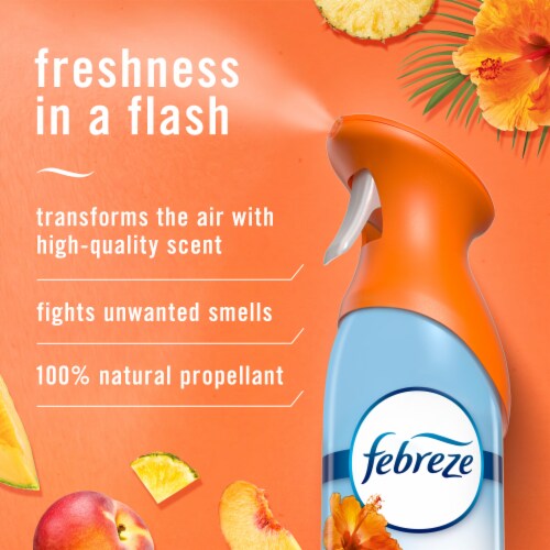 Febreze Fabric Spray, Odor Fighter for Strong Odor, Refresher Spray PLUS  with Clean Scent, 16.9 Fl Oz (Pack of 2)