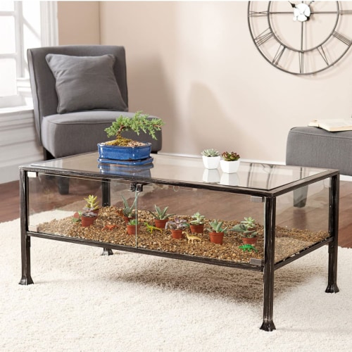 Southern Enterprises Terrarium Glass Display Coffee Table in Black