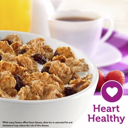 Kellogg's Raisin Bran Original Cold Breakfast Cereal Family Size Perspective: back