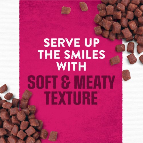 Purina Moist and Meaty Steak Flavor Soft Dog Food Pouches Perspective: back