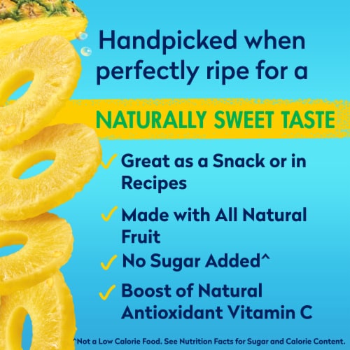 Dole® Canned Pineapple Slices Fruit In 100% Pineapple Juice Perspective: back