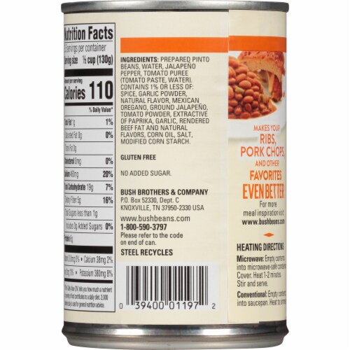 Bush's Best® Southwestern Style Pinto Beans Perspective: back