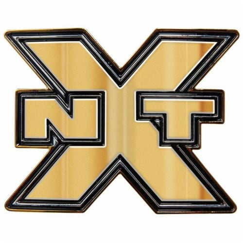 WWE Championship NXT Champion Belt Buckle Perspective: back