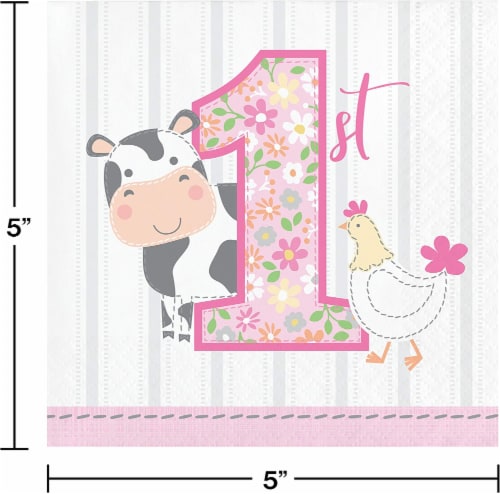 Creative Converting 339866 Farmhouse 1st Birthday Girl Beverage Napkins, 16 Count Perspective: back