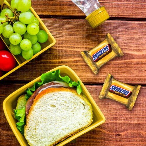 Snickers Crunchy Peanut Butter Squared Fun Size Chocolate Candy Bars Bag Perspective: back