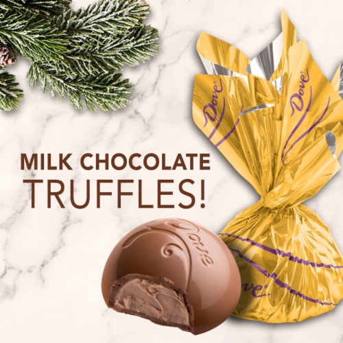 Dove Milk Chocolate Truffles Holiday Candy Gift Tin Perspective: back