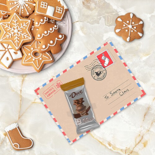 DOVE Milk Chocolate Peanut Butter Reindeer Christmas Candy Bar Pack Perspective: back