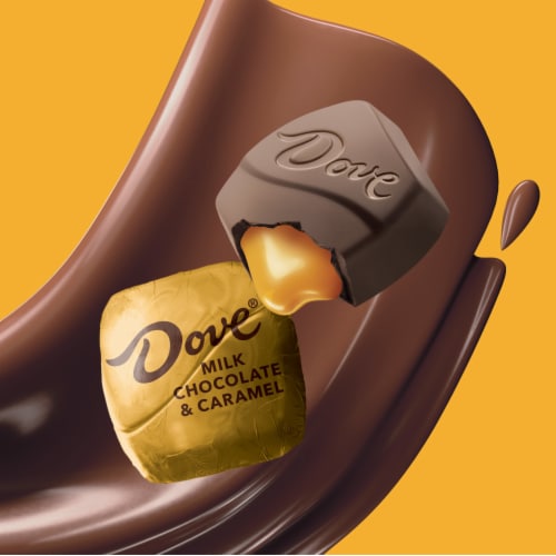 Dove Promises Milk Chocolate & Caramel Candy Bag Perspective: back