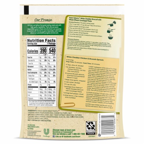 Knorr® Selects White Cheddar Broccoli with Cavatappi Pasta Perspective: back