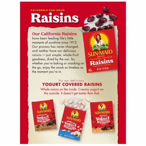 Sun-Maid® Natural California Raisins Perspective: back