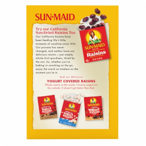 Sun-Maid® California Golden Raisins Perspective: back