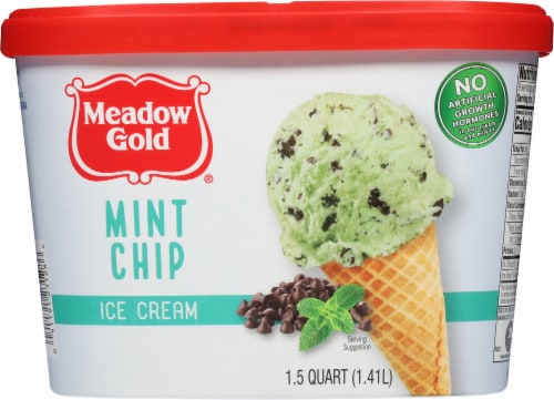 Meadow Gold® Mint Chocolate Chip Ice Cream Tub Perspective: back