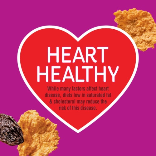 Kellogg’s® Raisin Bran Cereal