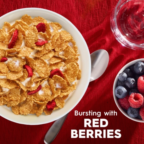 Kellogg's® Special K Red Berries Giant Size Cereal Perspective: back