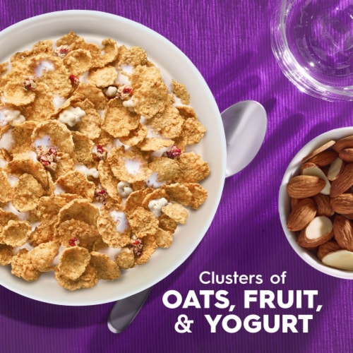 Kellogg's® Special K Fruit and Yogurt Large Size Cereal Perspective: back