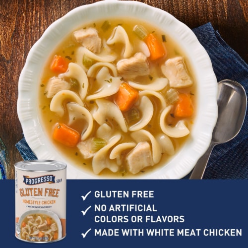 Progresso Gluten Free Homestyle Chicken Soup Perspective: back
