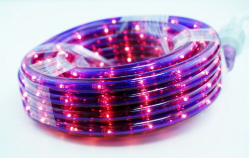 Holiday Home Rope Light - Purple Perspective: back
