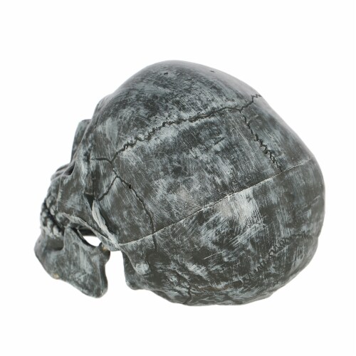 Holiday Home Silver Skull Decoration Perspective: back