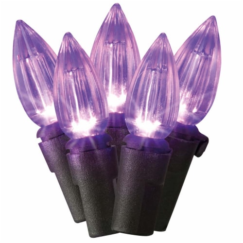Holiday Home® 100 LED C3 Lights - Purple Perspective: back