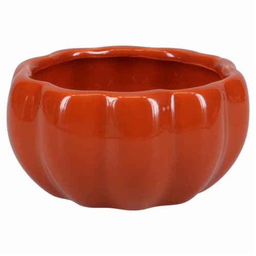 Holiday Home® Pumpkin Bowl Perspective: back