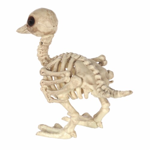 Holiday Home Small Skeleton Duck Perspective: back