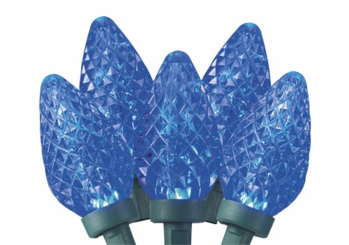 Holiday Home® C9 LED Light Set - Blue Perspective: back