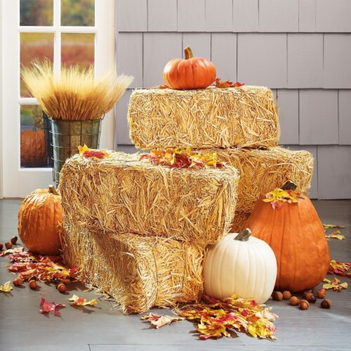Holiday Home™ Straw Bale Perspective: back