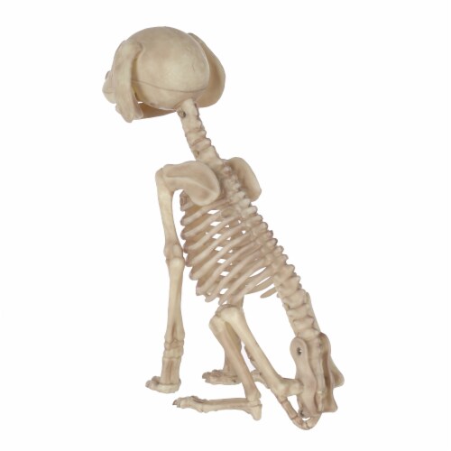 Holiday Home Skeleton Sitting Puppy Decor Perspective: back