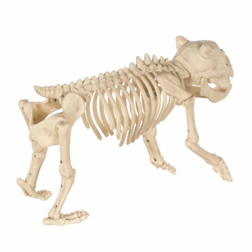 Holiday Home Bones The Hungry Hound Decor Perspective: back