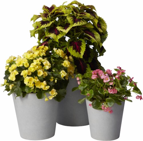 The Joy of Gardening Planter Set - Gray Perspective: back