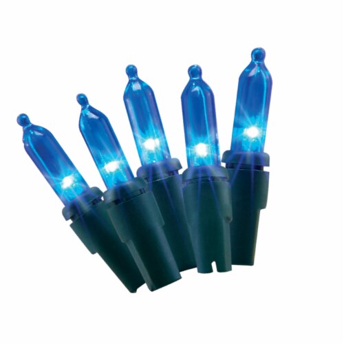 blue outdoor mini string lights