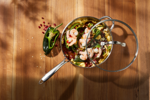 Dash of That Deep Frying Pan Stainless Steel Perspective: back