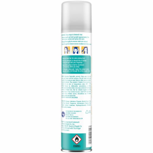 Kroger® Light & Clean Sheer Dry Shampoo Perspective: back