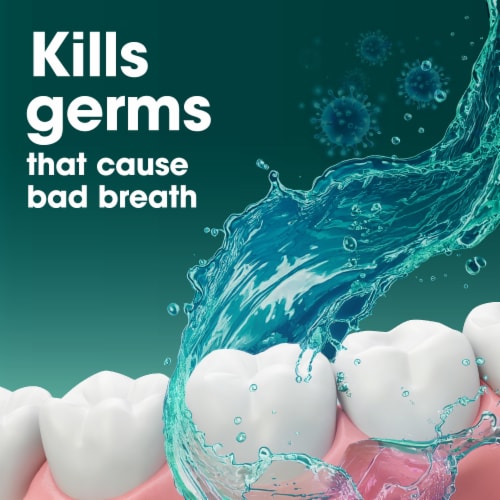 Kroger® Gum Defense Mouthwash Smooth Mint Alcohol Free Perspective: back
