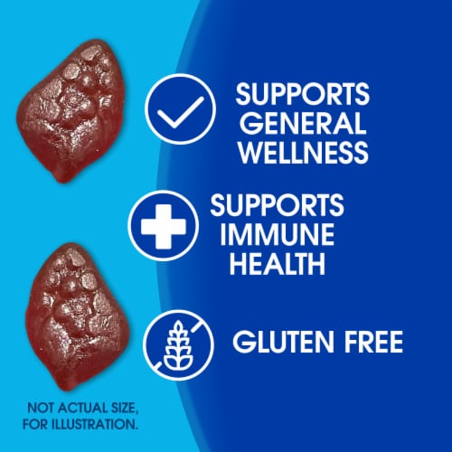 Kroger® Sambucus Elderberry Dietary Supplement Gummies Perspective: back