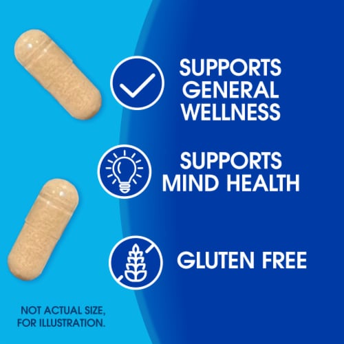 Kroger® Ginkgo Biloba Capsules 120mg Perspective: back