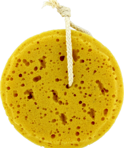 Kroger® Sea Foam Sponge Perspective: back